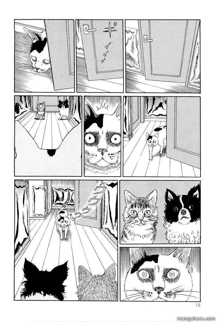 Ito Junji's Cat Diary Chapter 2 6